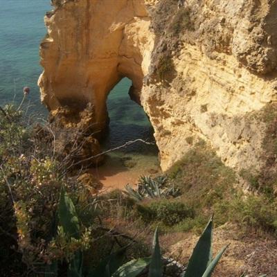 江南官方网站下载手机app下载